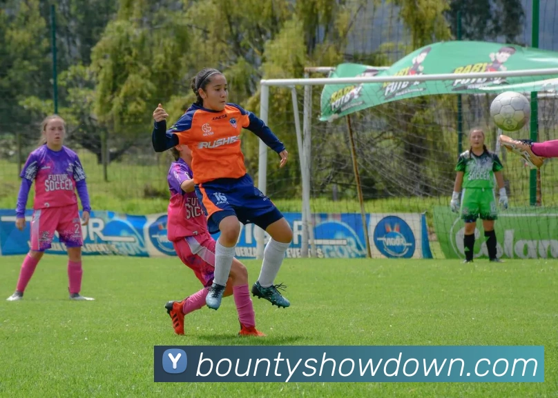 赏金大对决平台生态图